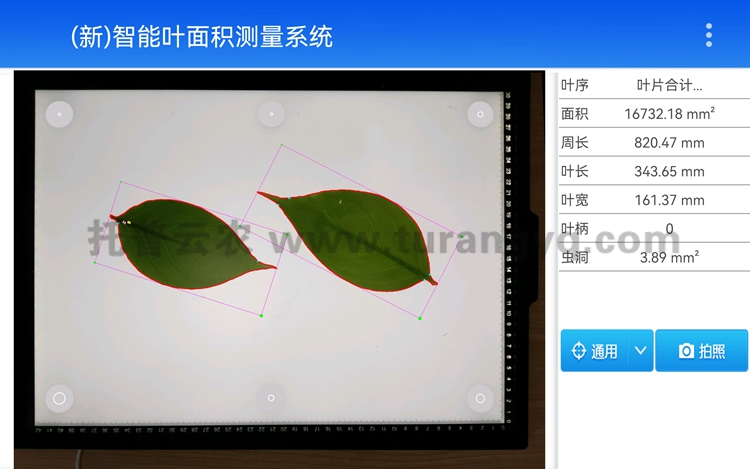 拍照式叶面积测量仪软件界面图