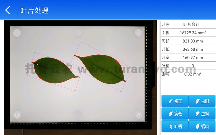 拍照式叶面积测量仪软件界面图